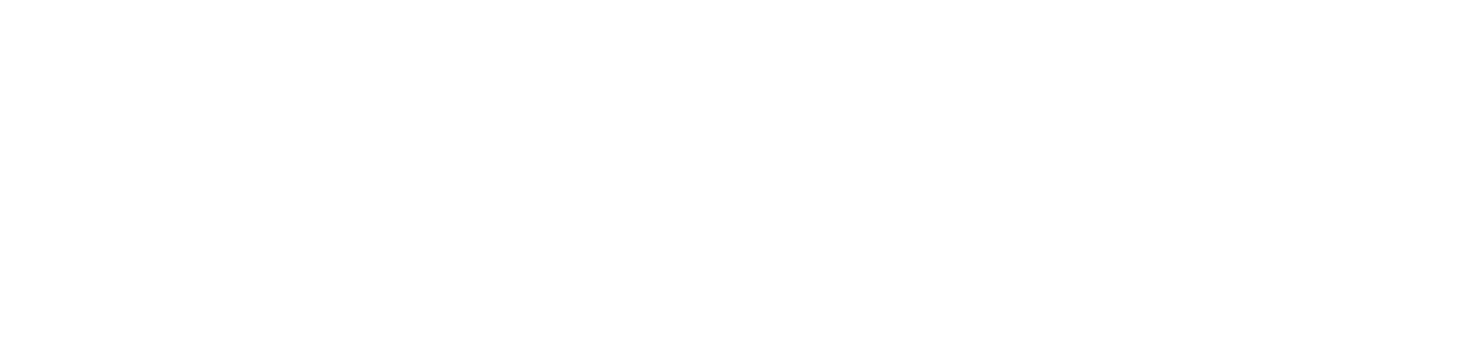 SERV TRANSPORT REV Logo